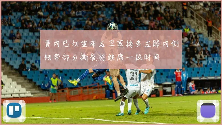 费内巴切宣布后卫塞梅多左膝内侧韧带部分撕裂将缺席一段时间