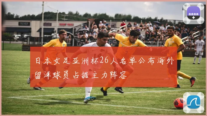 日本女足亚洲杯26人名单公布海外留洋球员占据主力阵容