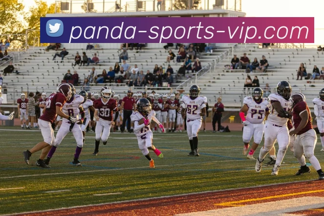 熊猫体育发展历程